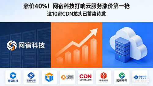 漲價40% 網宿科技打響云服務漲價第一槍，10家CDN龍頭蓄勢待發
